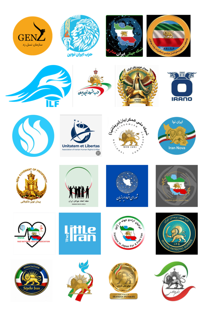Pro-Democracy Organizations